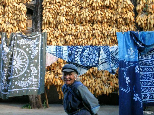 大理幼兒秋游研學(xué)，看大理研學(xué)基地如何助力大理研學(xué)！
