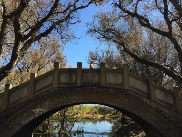 大理研學(xué)行程--這次我們帶你去見不一樣的大理！