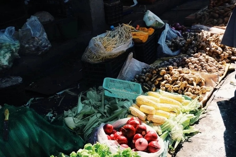 大理夏令營(yíng)活動(dòng)