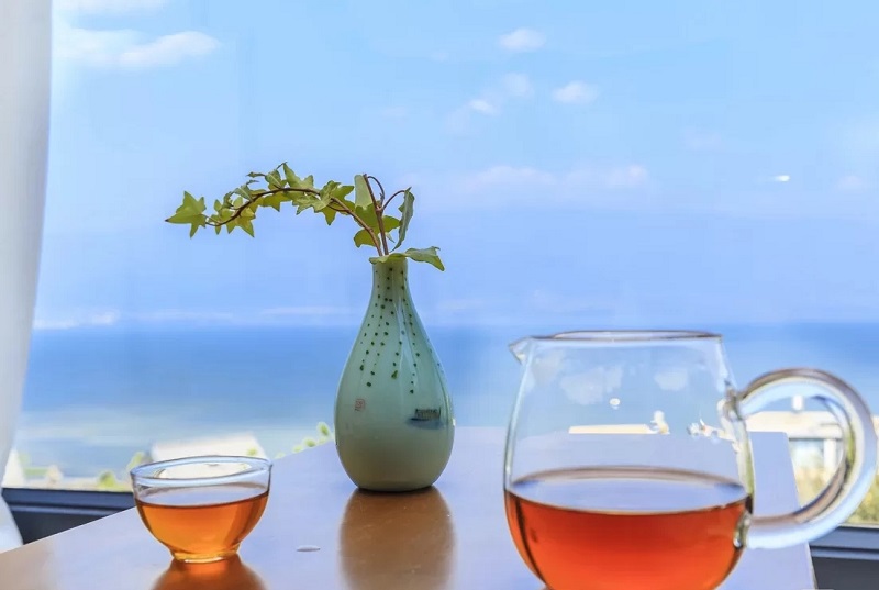 夏令營的起源是什么？