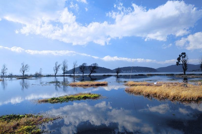 天行大理夏令營活動能為孩子提供哪些安全保障？