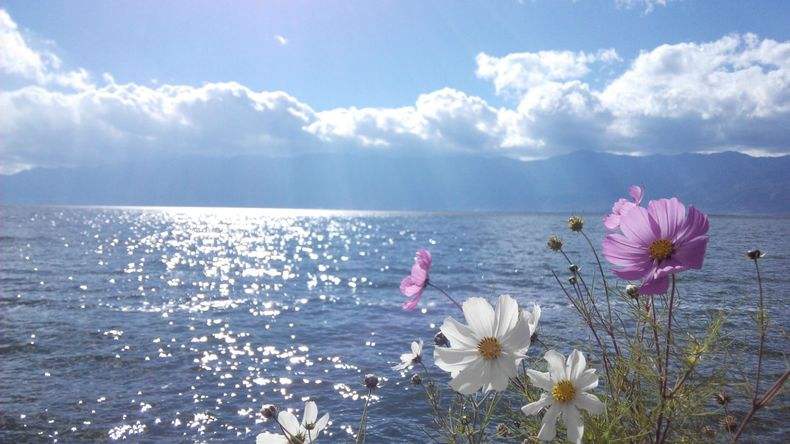 天行大理沖心智夏令營課程能對青少年心智發(fā)展的幫助哪些？