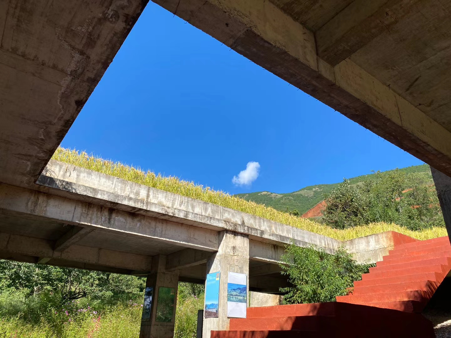 大理洱源鳳羽稻田劇場(chǎng)