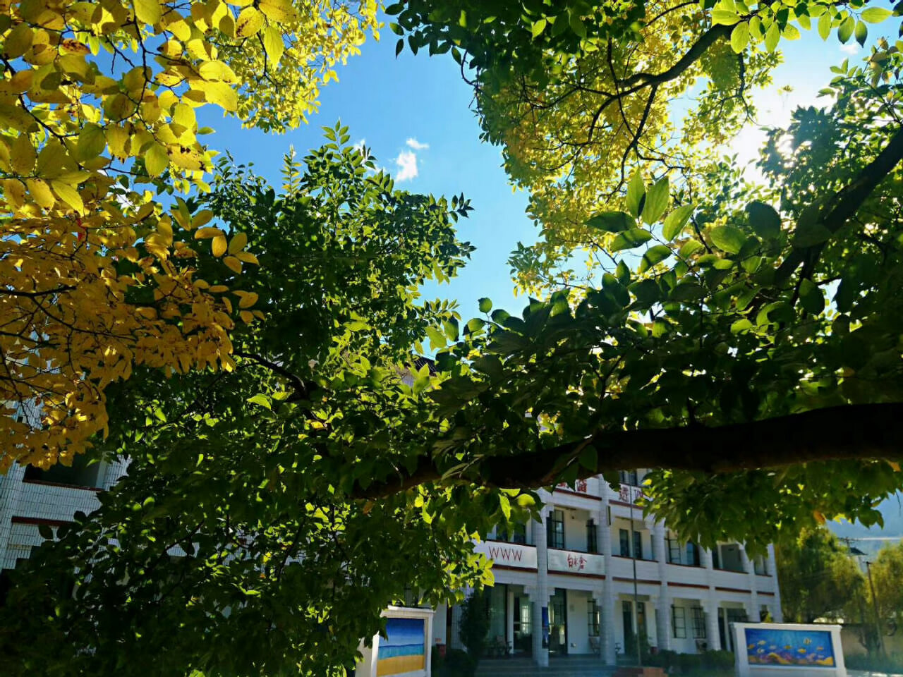 大理洱源鳳羽稻田劇場(chǎng)