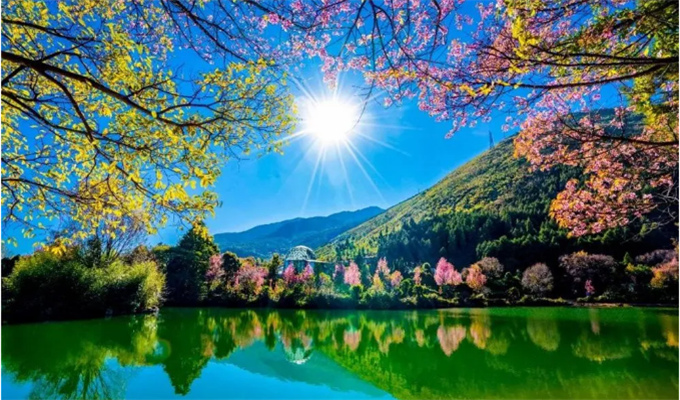 大理旅游蝴蝶泉邊：邂逅超越時代的古老愛情，浪漫與幸福觸手可及