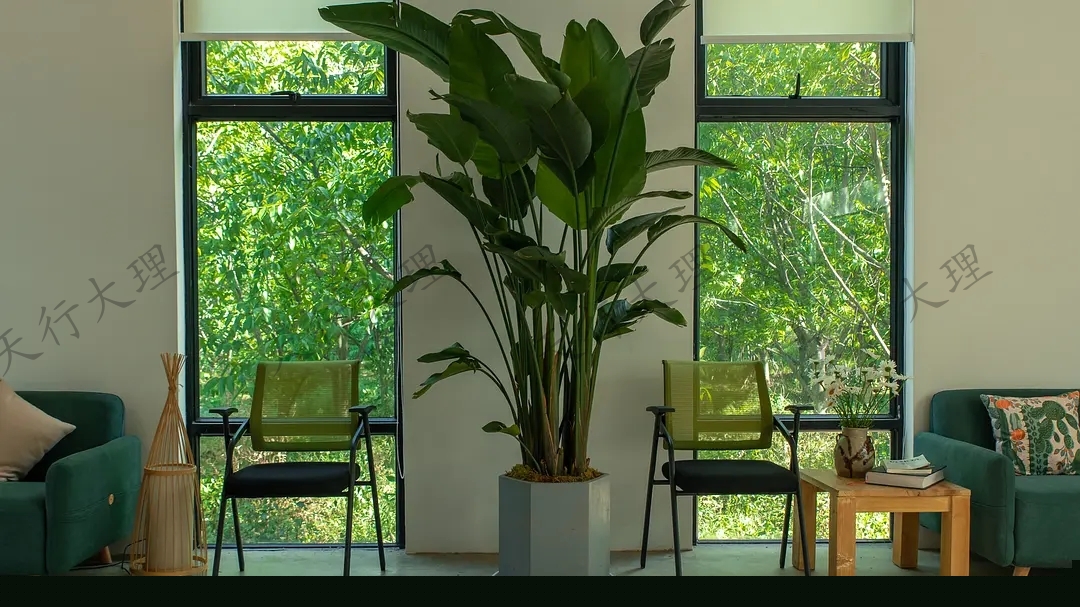 大理小重山鹿鳴山莊戶外基地