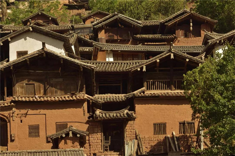 鄉(xiāng)愁大理丨諾鄧大青樹下，宿進(jìn)青蔥歲月，眺望巨木蒼天