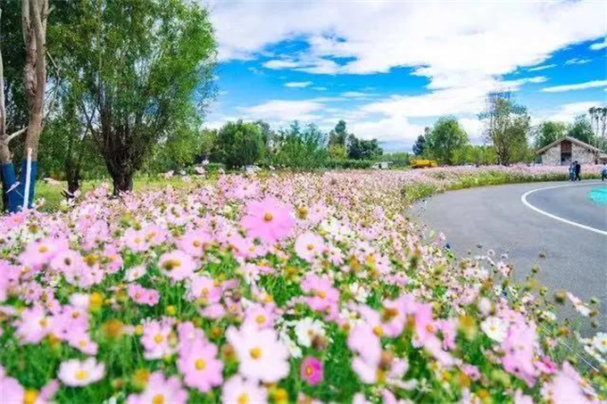 洱海生態(tài)廊道，不見不散