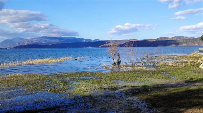 大理洱海｜萬(wàn)頃洱海揚(yáng)清波，一湖碧水映蒼山