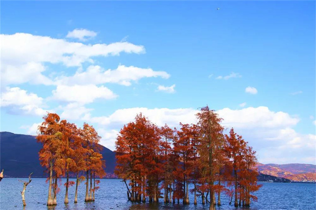 大理傳媒公司：龍龕碼頭，是大理團(tuán)建的最佳選擇之一