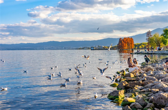 【美麗大理】冬天的洱海生態(tài)廊道，美出新高度