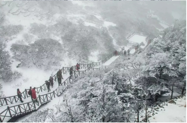 蒼山的風(fēng)花雪月！簡直美到讓人尖叫！