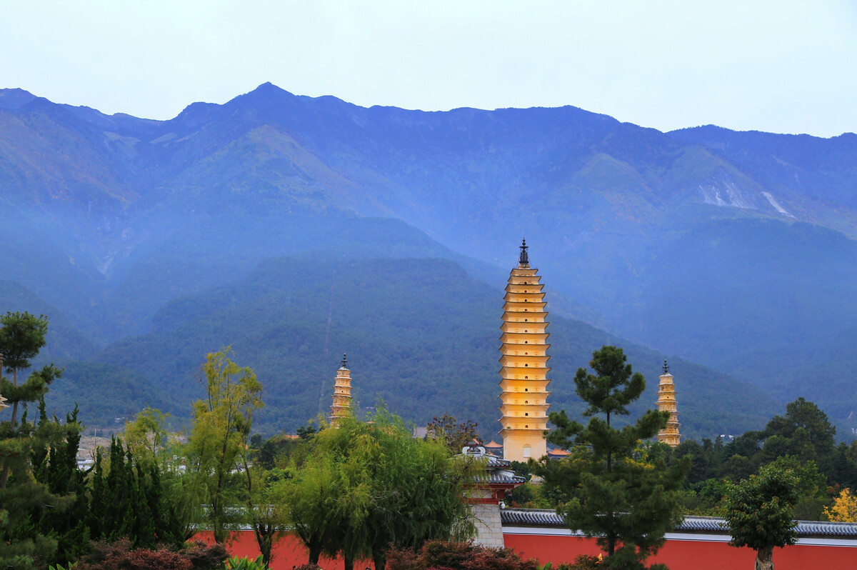 大理傳媒公司：蒼山西坡杜鵑花開成海，絕不辜負(fù)你賞春的心意！