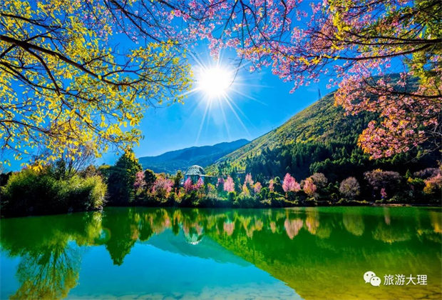 愛情集市、民間歌舞、洞經(jīng)音樂……去蝴蝶會邂逅獨屬于大理的浪漫