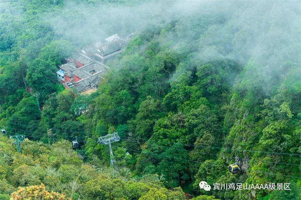 來(lái)雞足山，過(guò)20℃的夏天！