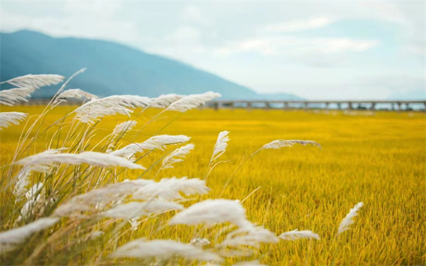 大理：接下的大理會是什么樣子？