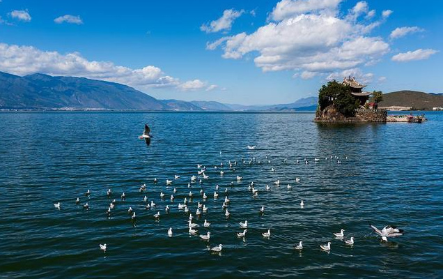 大理會(huì)務(wù)公司：大理秋日美食圖鑒！這份“貼秋膘”指南快收藏！