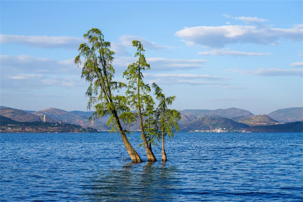 云南旅游,云南旅行社,云南團(tuán)建公司,云南策劃公司,云南會(huì)議會(huì)展,云南旅游地接,大理旅游,大理旅行社,大理團(tuán)建公司,大理策劃公司,大理會(huì)議會(huì)展：避暑，為什么要去大理？