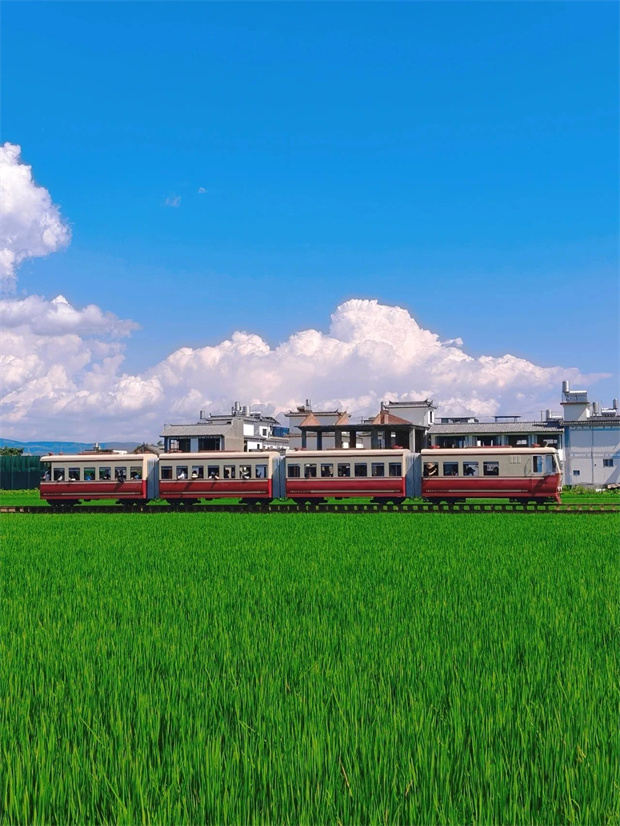 大理旅游,大理旅行社,大理團(tuán)建公司,大理策劃公司,大理會(huì)議會(huì)展,云南旅游,云南旅行社,云南團(tuán)建公司,云南策劃公司,云南會(huì)議會(huì)展：坐上喜洲稻田小火車(chē)，一秒進(jìn)入動(dòng)漫畫(huà)卷