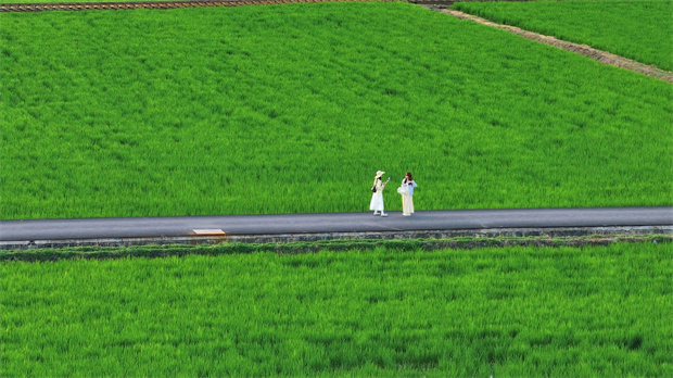 云南旅游,云南旅行社,云南團(tuán)建公司,云南策劃公司,云南會(huì)議會(huì)展,大理旅游,大理旅行社,大理團(tuán)建公司,大理會(huì)議會(huì)展：去大理，坐上那趟心愛(ài)的小火車(chē)