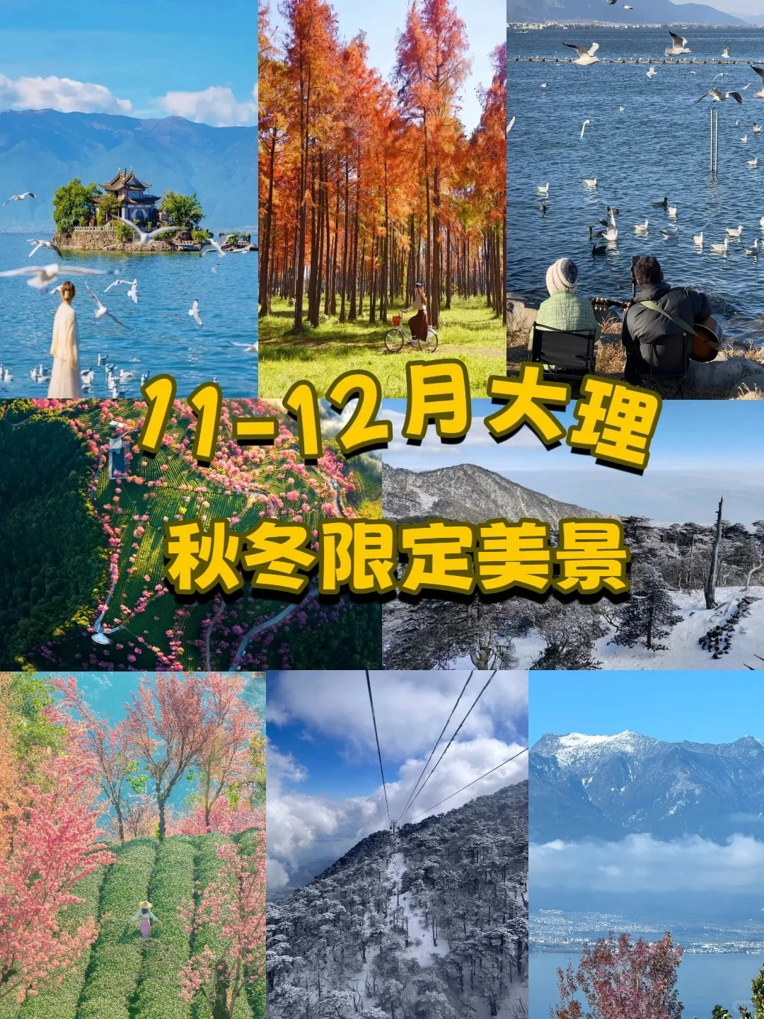 云南旅游,云南旅行社,云南團(tuán)建公司,云南策劃公司,云南會(huì)議會(huì)展,云南策劃執(zhí)行,大理旅游,大理旅行社,大理團(tuán)建公司,大理會(huì)議公司,大理會(huì)議會(huì)展,大理策劃公司:11-12月大理秋季限定美景美到窒息