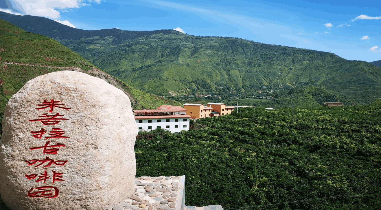 云南旅游,云南旅行社,云南團建公司,云南策劃公司,云南會議會展,云南策劃執(zhí)行,大理旅游,大理旅行社,大理團建公司,大理會議公司,大理會議會展,大理策劃公司:咖豆尋根·咖啡深度研學團建之旅